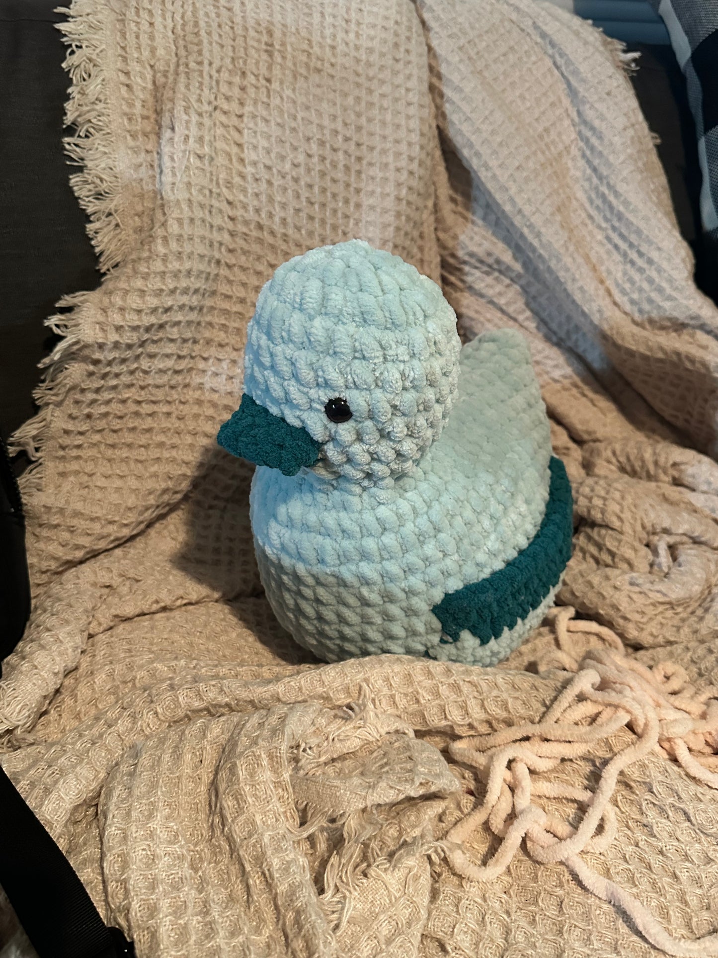 Kindle Duck
