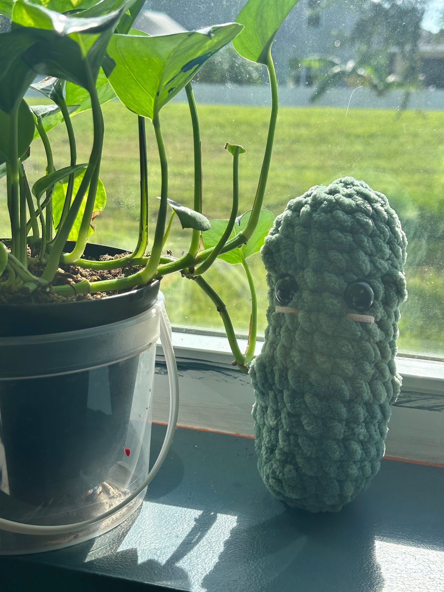 Pickle