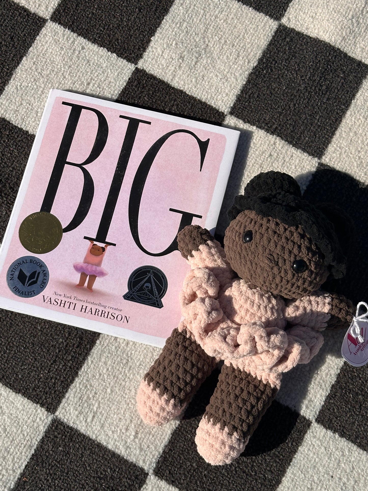 BIG book + Ballerina bundle